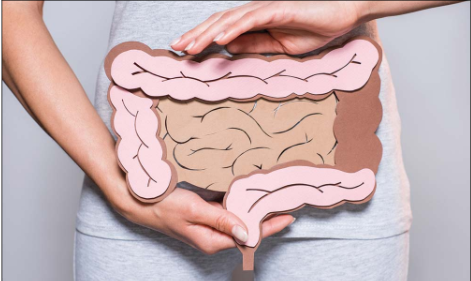 Improve Digestive Comfort With Klaire Labs Probiotic