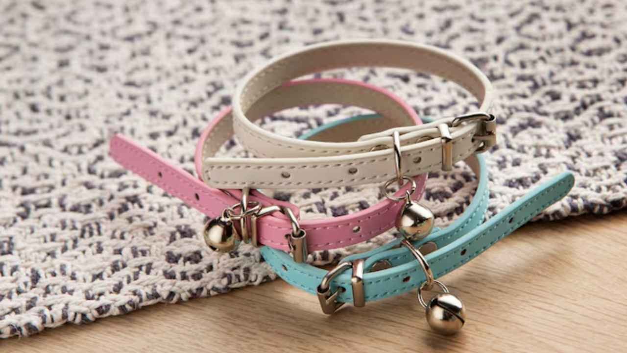 Dog Collar for Dogs: Safety Standards No One Talks About But You Should Know