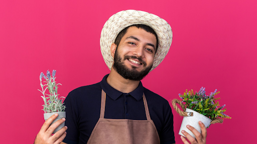 Buy Holi Gifts: Perfect Presents for Every Home