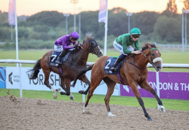 Understanding India Horse Race Cards For Better Race Insights
