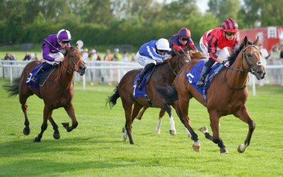 Chennai horse race